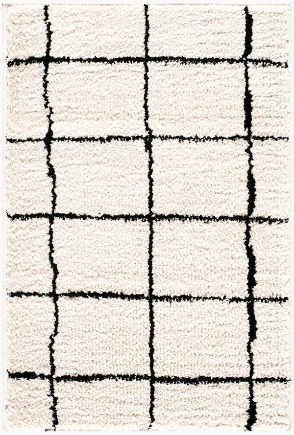 Livabliss Rivoli Machine Woven Polyester High Pile Rug for Modern Entryways and Cozy Reading Nooks Cream, Black 2' x 2'11" EDRV2300-2211
