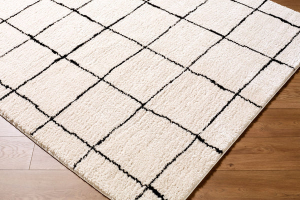 Livabliss Rivoli Machine Woven Polyester High Pile Rug for Modern Entryways and Cozy Reading Nooks Cream, Black 7'10" x 10' EDRV2300-71010