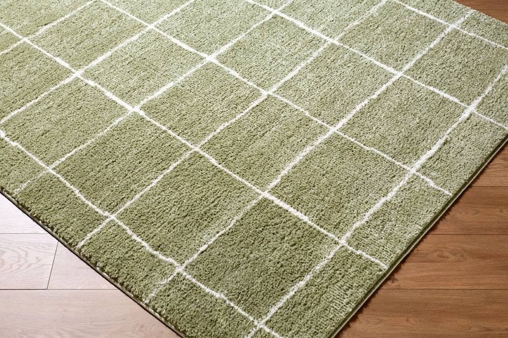 Livabliss Rivoli High Pile Polyester Area Rug Turkish Woven Minimalist Accent for Any Room Olive, Cream 2' x 2'11" EDRV2302-2211