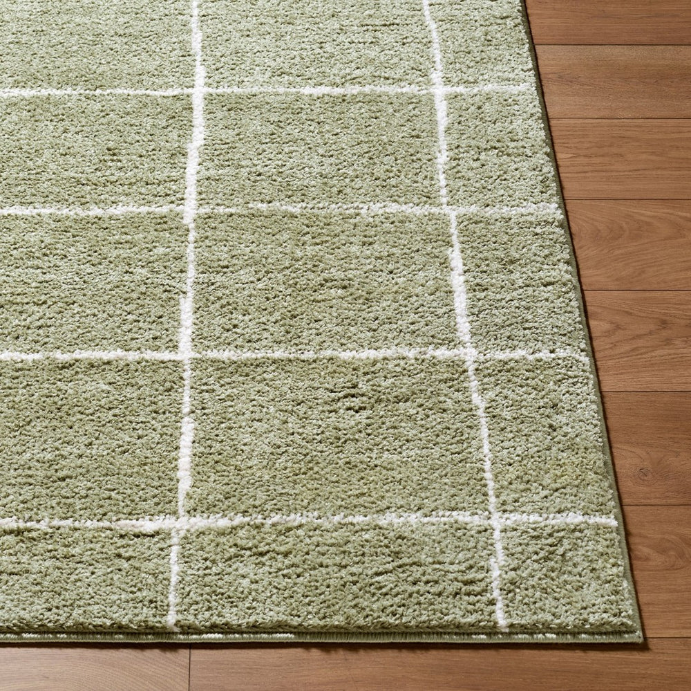 Livabliss Rivoli High Pile Polyester Area Rug Turkish Woven Minimalist Accent for Any Room Olive, Cream 2' x 2'11" EDRV2302-2211