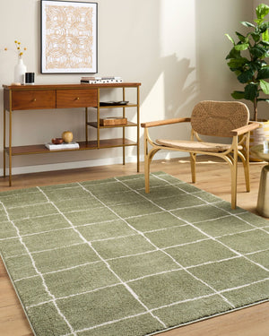 Livabliss Rivoli High Pile Polyester Area Rug Turkish Woven Minimalist Accent for Any Room Olive, Cream 2' x 2'11" EDRV2302-2211