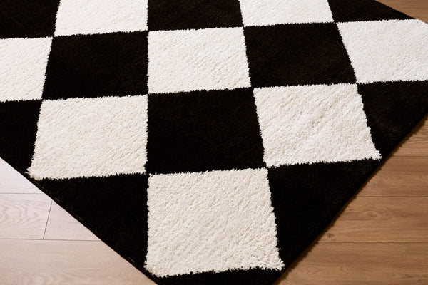 Livabliss Rivoli Plush High Pile Polyester Rug Turkish Woven Minimalist Accent for Modern Interiors Black, Cream 2' x 2'11" EDRV2305-2211