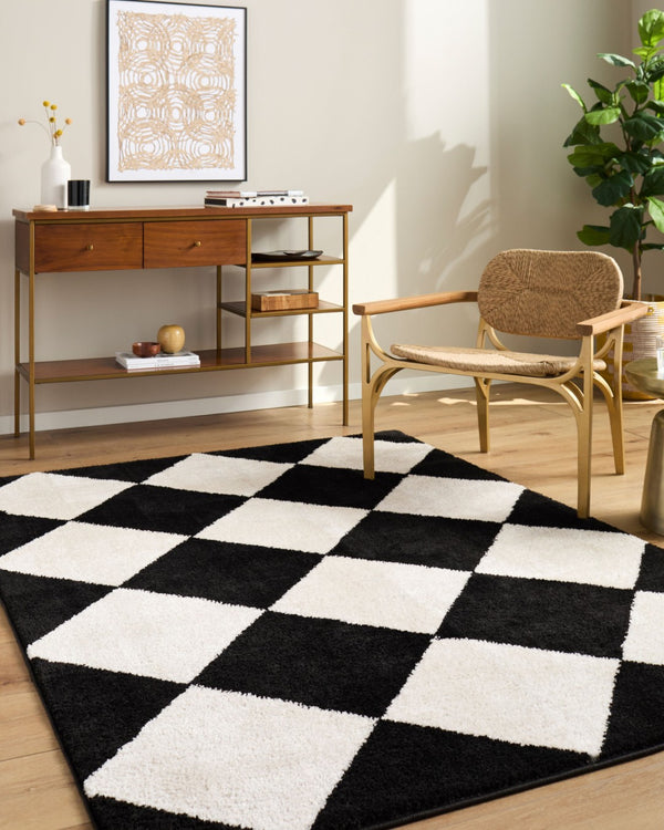 Livabliss Rivoli Plush High Pile Polyester Rug Turkish Woven Minimalist Accent for Modern Interiors Black, Cream 2' x 2'11" EDRV2305-2211