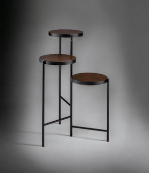 English Elm Namid Multi-Tier Foldable Black Plant Stand with 3 Open Wood Veneer Shelves, Metal Frame, 10lb Limit B2726P287568