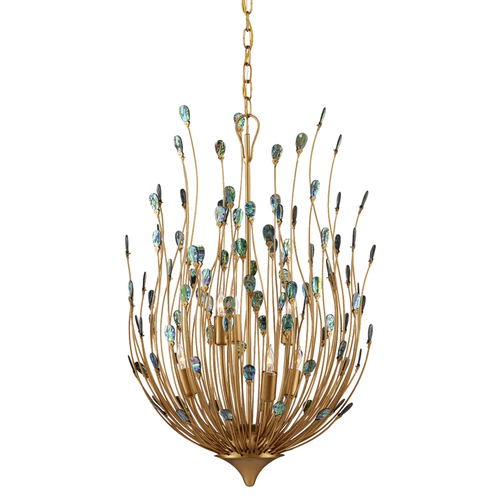 Delphos Chandelier - Elegant Nature-Inspired Fixture with Iridescent Paua Shells & Gold Finish