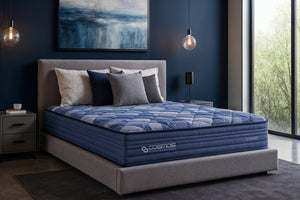 English Elm Light- King Hybrid Mattress Graphite Memory Foam Pocketed Coils Cooling Sleep B342P315676