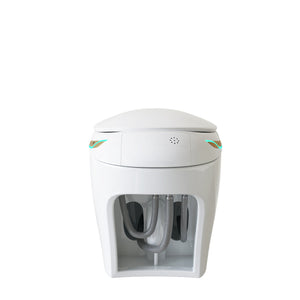 English Elm Unique Smart One Piece Toilet Bidet Heated Seat Auto Flush Warm Air Dryer Spa W3133P384811