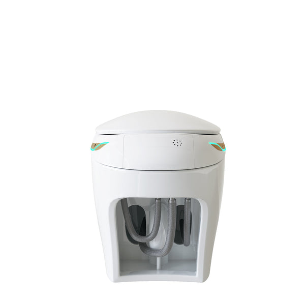 English Elm Unique Smart One Piece Toilet Bidet Heated Seat Auto Flush Warm Air Dryer Spa W3133P384811