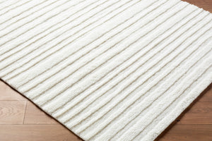 Livabliss Eleve Handwoven Cotton Wool Blend High Pile Accent Rug for Modern Minimalist Spaces Ivory, Cream 5' x 7' EEV2300-57