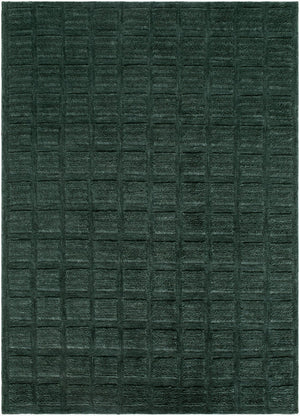 Livabliss Eleve Handwoven Cotton Wool High Pile Accent Rug for Modern Minimalist Interiors Emerald, Fores 2' x 3' EEV2302-23