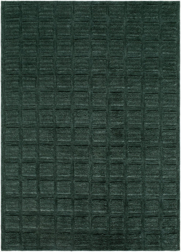 Livabliss Eleve Handwoven Cotton Wool High Pile Accent Rug for Modern Minimalist Interiors Emerald, Fores 2' x 3' EEV2302-23
