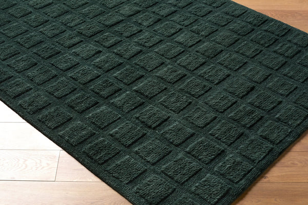 Livabliss Eleve Handwoven Cotton Wool High Pile Accent Rug for Modern Minimalist Interiors Emerald, Fores 2' x 3' EEV2302-23