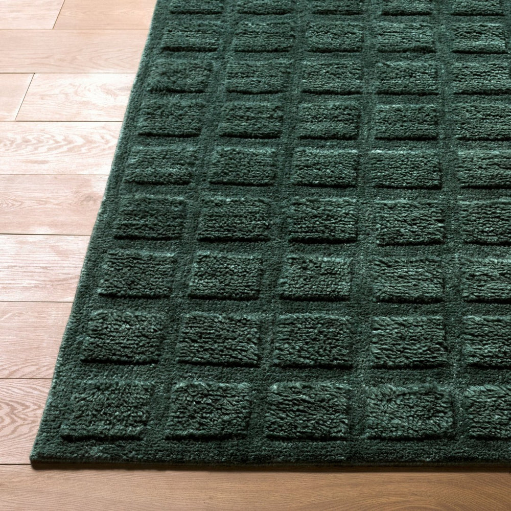 Livabliss Eleve Handwoven Cotton Wool High Pile Accent Rug for Modern Minimalist Interiors Emerald, Fores 2' x 3' EEV2302-23