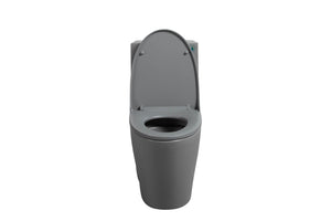 English Elm One-piece Elongated Ceramic Toilet Dual Flush Ada Comfort Height Glossy White Bath Light Grey W1920P385348