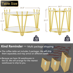 English Elm 31.5inch Modern Luxury Gold Coffee Table with Two-Tier Storage, Tempered Glass Top, Elegant Crown Design Clear W1550P171448