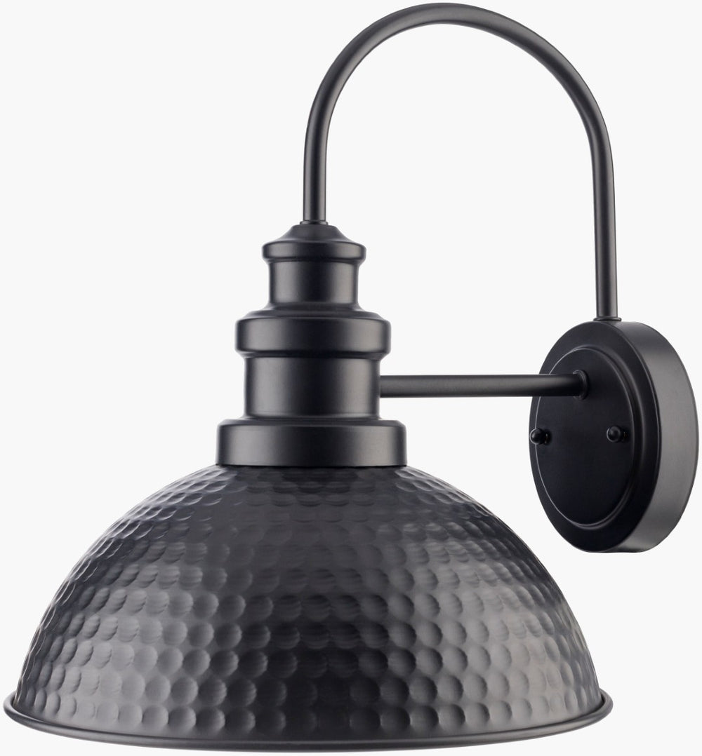 Livabliss Elfand Outdoor Metal Wall Sconce Traditional Porch Entryway Weatherproof Ambient Light EFD-001