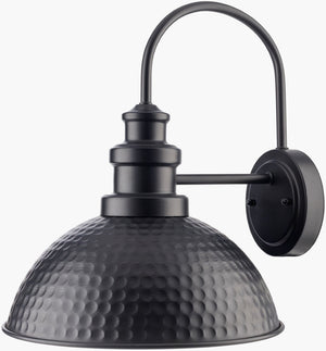 Livabliss Elfand Outdoor Metal Wall Sconce Traditional Porch Entryway Weatherproof Ambient Light EFD-001