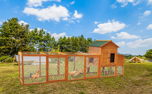 English Elm 123'' Fir Wood Chicken Coop Nesting Boxes Mesh Run Ramp and Tray for 8 Hens W3166P288596