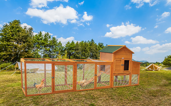 English Elm 123'' Fir Wood Chicken Coop Nesting Boxes Mesh Run Ramp and Tray for 8 Hens W3166P288596