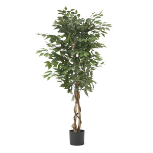 English Elm 150cm Artificial Ficus Tree Twisted Trunk Glossy Foliage Indoor Floor Statement Plant 70516.00