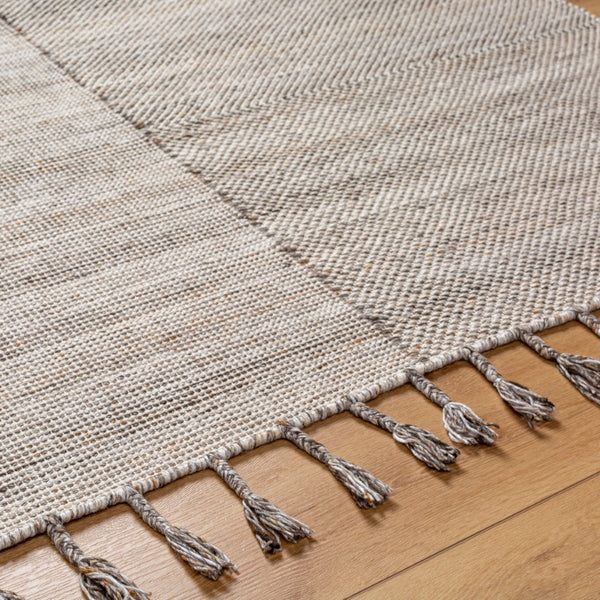 Surya Esther Handmade Rug - Eco-friendly 2' X 3' Cottage Design With Fringe, Durable & Stylish For Any Room Beige Recycled Pet Yarn Ehr2300-23