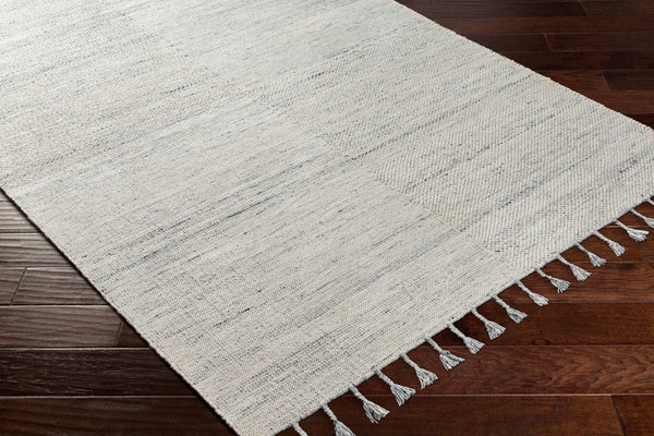 Surya Esther Handmade Rug - Eco-friendly 2' X 3' Cottage Design With Fringe, Durable & Stylish For Any Room Beige Recycled Pet Yarn Ehr2301-23