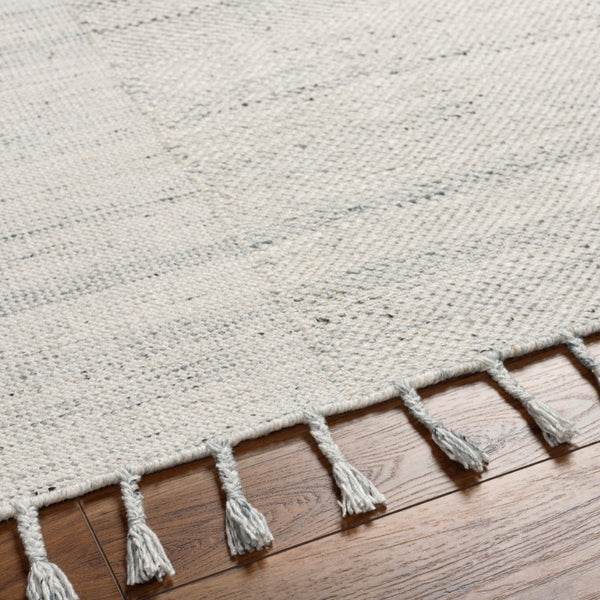 Surya Esther Handmade Rug - Eco-friendly 2' X 3' Cottage Design With Fringe, Durable & Stylish For Any Room Beige Recycled Pet Yarn Ehr2301-23
