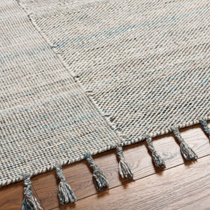 Surya Esther Handmade Rug - Eco-friendly 2' X 3' Cottage Design With Fringe, Durable & Stylish For Any Room Beige Recycled Pet Yarn Ehr2302-576