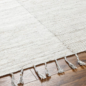Surya Esther Handmade Rug - Eco-friendly 2' X 3' Cottage Design With Fringe, Durable & Stylish For Any Room Beige Recycled Pet Yarn Ehr2303-23