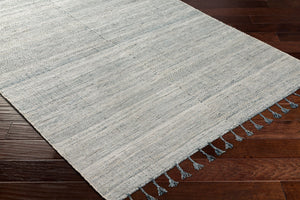 Surya Esther Handmade Rug - Eco-friendly 2' X 3' Cottage Design With Fringe, Durable & Stylish For Any Room Beige Recycled Pet Yarn Ehr2304-576