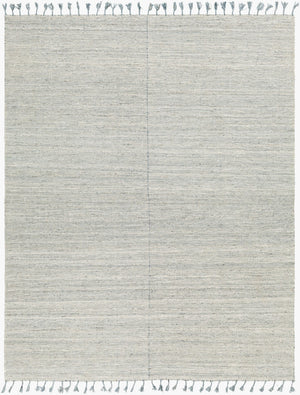 Surya Esther Handmade Rug - Eco-friendly 2' X 3' Cottage Design With Fringe, Durable & Stylish For Any Room Beige Recycled Pet Yarn Ehr2304-576