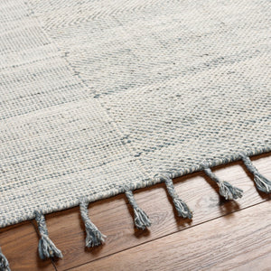 Surya Esther Handmade Rug - Eco-friendly 2' X 3' Cottage Design With Fringe, Durable & Stylish For Any Room Beige Recycled Pet Yarn Ehr2304-576