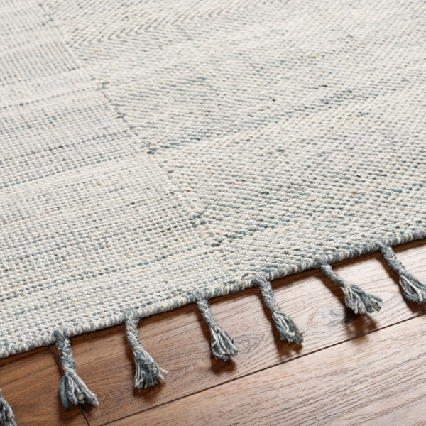 Surya Esther Handmade Rug - Eco-friendly 2' X 3' Cottage Design With Fringe, Durable & Stylish For Any Room Beige Recycled Pet Yarn Ehr2304-576