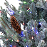 Park Hill Blue Spruce Christmas Tree, 7.5' Clear and Multi Lights XPQ82169 Park Hill