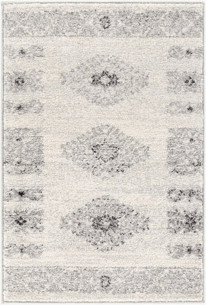 Livabliss Elaziz Machine Woven Polypropylene Area Rug Rustic Farmhouse Entryway Accent Gray, Light Gra 2' x 2'11" ELZ2305-23