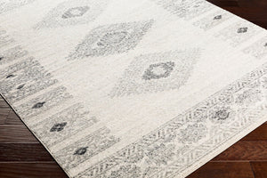 Livabliss Elaziz Machine Woven Polypropylene Area Rug Rustic Farmhouse Entryway Accent Gray, Light Gra 2' x 2'11" ELZ2305-23