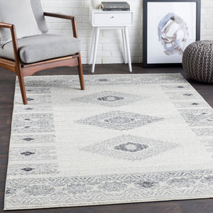 Livabliss Elaziz Machine Woven Polypropylene Area Rug Rustic Farmhouse Entryway Accent Gray, Light Gra 2' x 2'11" ELZ2305-23