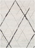 Elaziz ELZ-2323 5'3" x 7'7" Machine Woven Rug ELZ2323-5376 Livabliss Surya