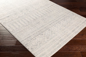 Livabliss Elaziz Moroccan Geometric Polypropylene Rug for Entryways Bold Global Pattern Floor Accent Gray, Light Gra 2'7" x 7'7" ELZ2354-2776