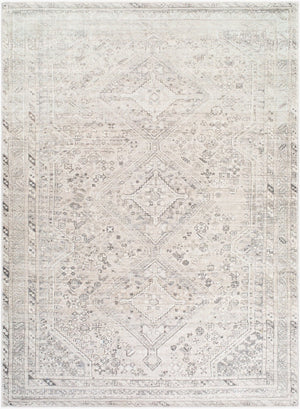 Livabliss Embrace Flatweave Polyester Area Rug Turkish Crafted for High Traffic Living Spaces Light Sage, Ivo 5'3" x 7' EMA2311-537