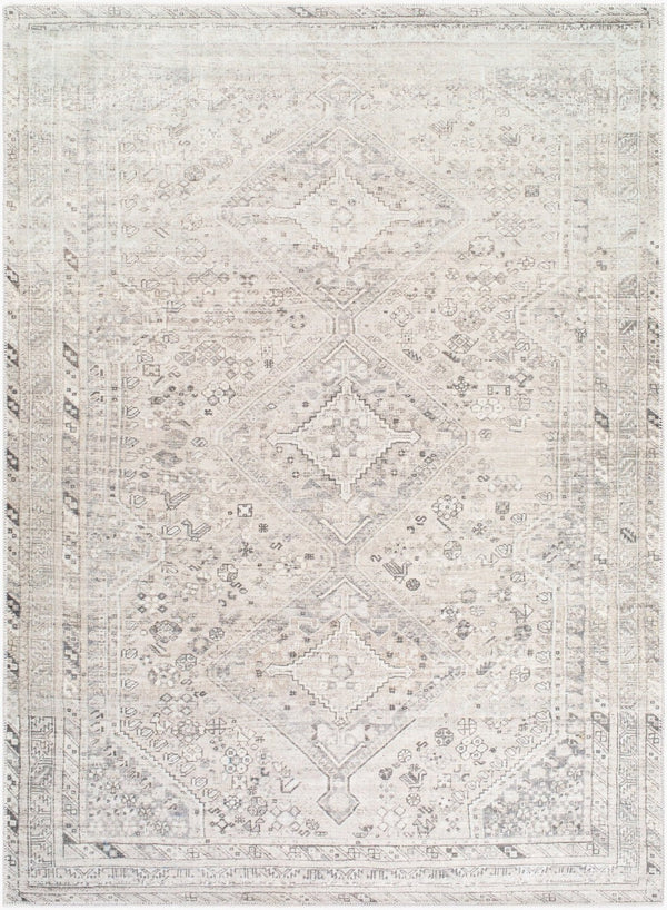 Livabliss Embrace Flatweave Polyester Area Rug Turkish Crafted for High Traffic Living Spaces Light Sage, Ivo 5'3" x 7' EMA2311-537