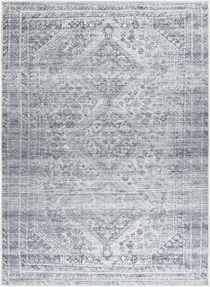 Livabliss Embrace Flatweave Polyester Area Rug Machine Woven in Turkey for High Traffic Rooms Slate, Pale Blu 7'10" x 10' EMA2312-71010