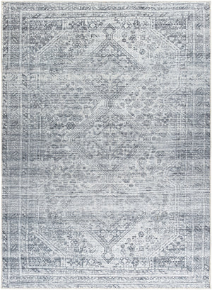 Embrace EMA-2312 8'10" x 12' Machine Woven Rug EMA2312-81012 Livabliss Surya