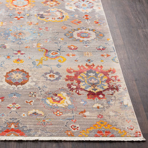 Livabliss Ephesians Traditional Turkish Fringe Area Rug Polyester Pile Entryway Accent EPC2302-23