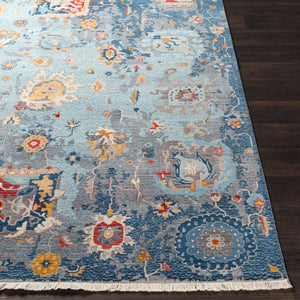 Livabliss Ephesians Traditional Medallion Area Rug with Fringe Medium Pile Entryway Accent Light Blue, Blu 2'7" x 4'11" EPC2319-275