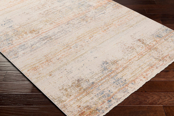 Livabliss Ephesians Machine Woven Polyester Accent Rug with Fringe for Entryways and Bedrooms Gray, Light Gra 2' x 2'11" EPC2354-2211