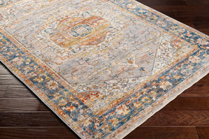 Livabliss Ephesians Traditional Fringe Accent Rug Polyester Machine Woven for Entryways and Hallways Gray, Light Gra 2'7" x 9' EPC2357-279