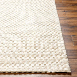Livabliss Empoli Handwoven Wool Accent Rug Cottage Style with Sustainable Yarn for Entryways Ivory, Cream 5' x 7'6" EPO2309-576