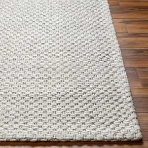 Livabliss Empoli Handwoven Wool Cottage Rug Artisan Crafted in India for Entryways and Bedrooms Ivory, Dove Gra 9' x 12' EPO2311-912