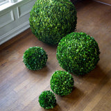 Preserved Boxwood Ball, 10" EBD80084 Park Hill